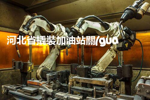 河北省撬裝加油站關(guān)鍵技術(shù)突破！化工廠拆除工程的新方法探索？
